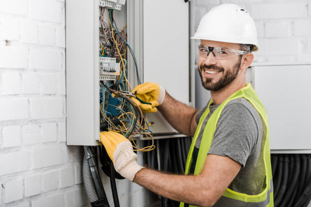 Best Ceiling Fan Installation Electrician  in Staples, MN